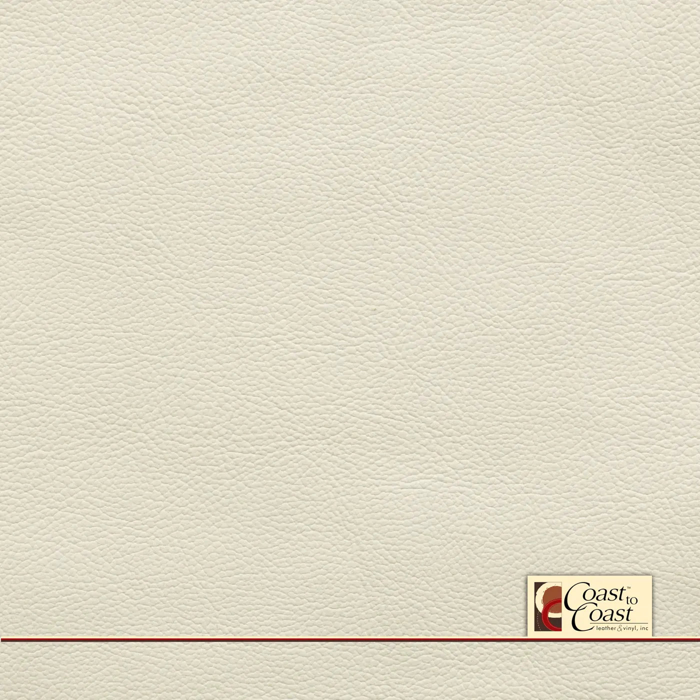 Nissan Gallery White Full Hide / Plain Leather