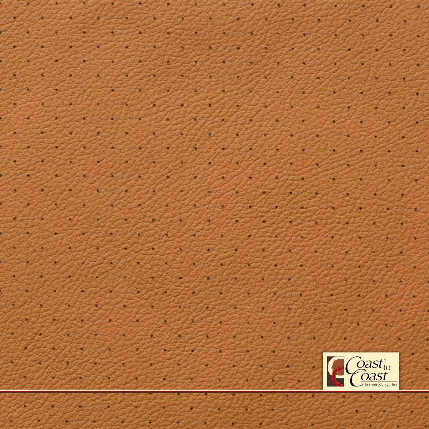 Bmw Cognac Full Hide / Standard Perf (3/8In) Leather