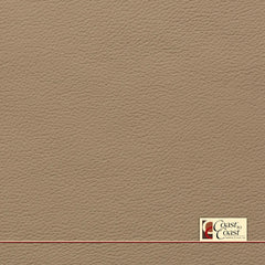 Audi Atlas Beige