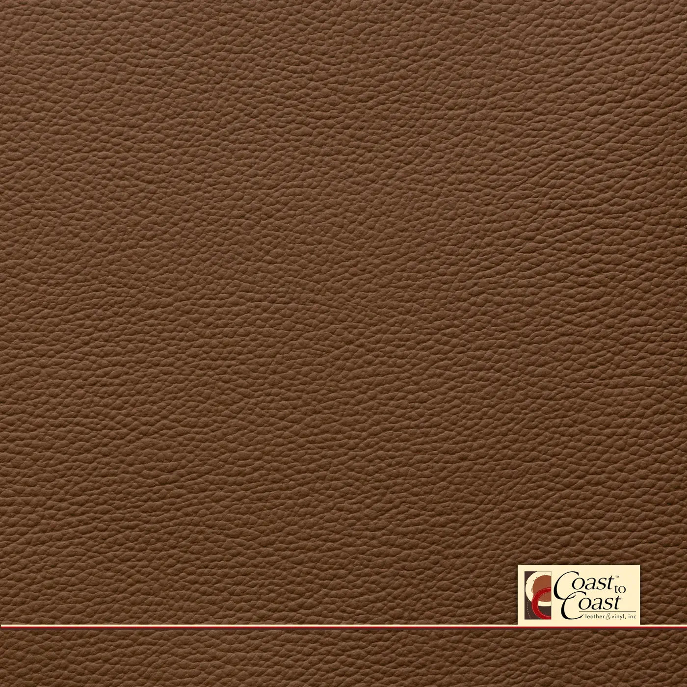 Volkswagon Buffalo Tan