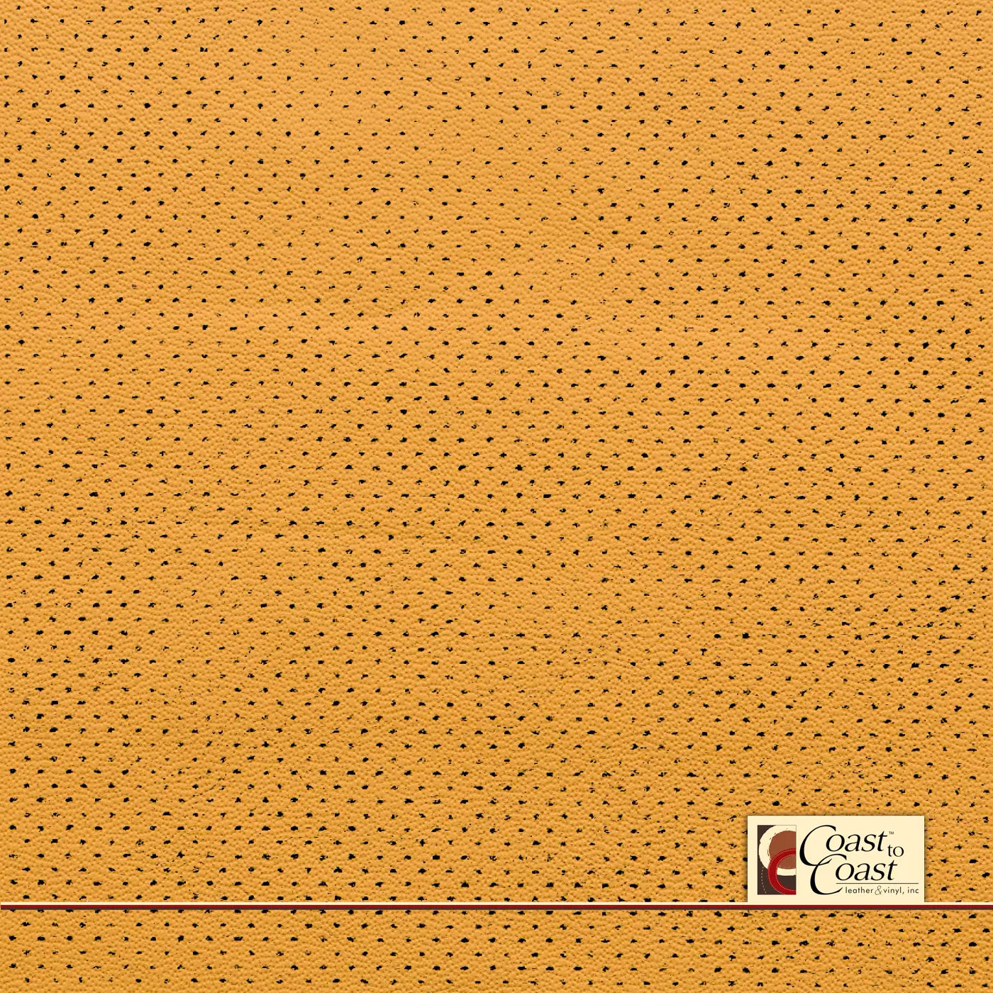 Mercedes Desert Beige Full Hide / Gm Mirco Perf (1/16In) Leather