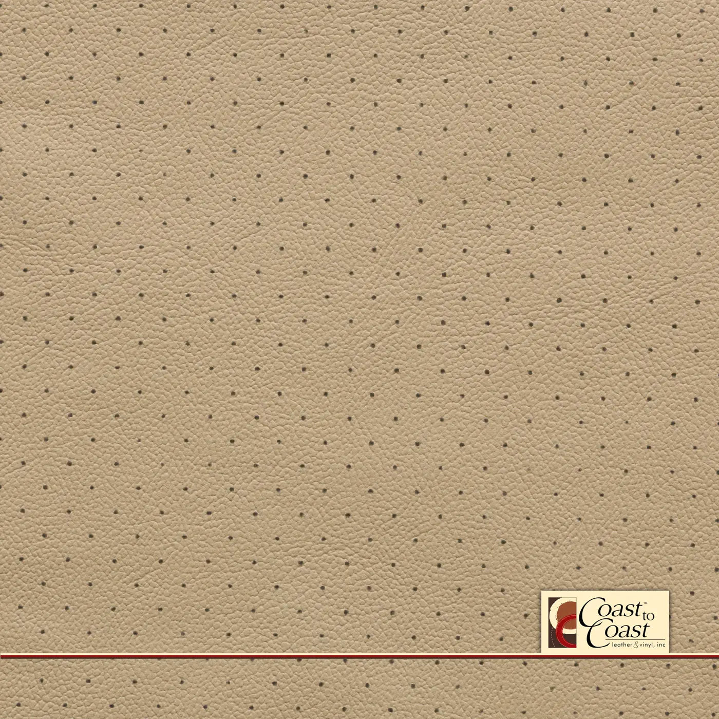 Nissan Cafe Latte Standard Perf (3/8In) Vinyl