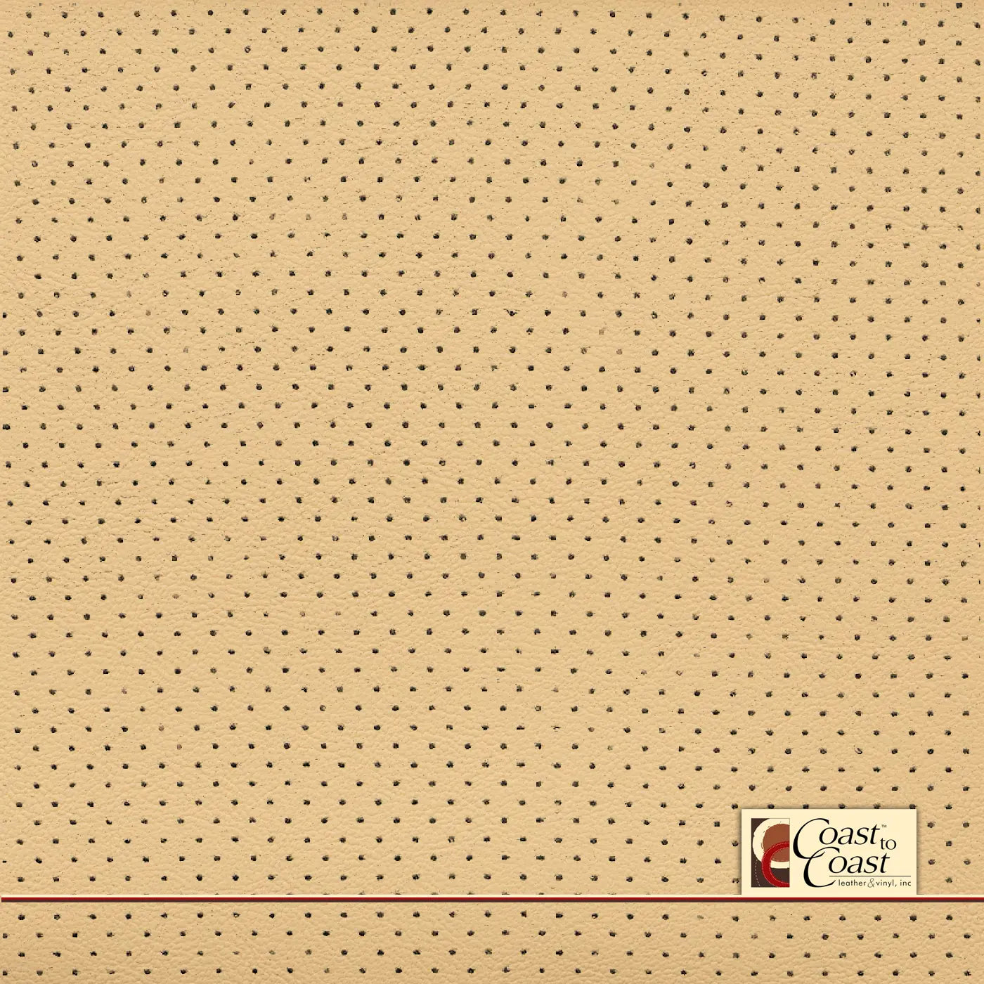 Jaguar Magnolia Mini Perf (1/8In) Vinyl