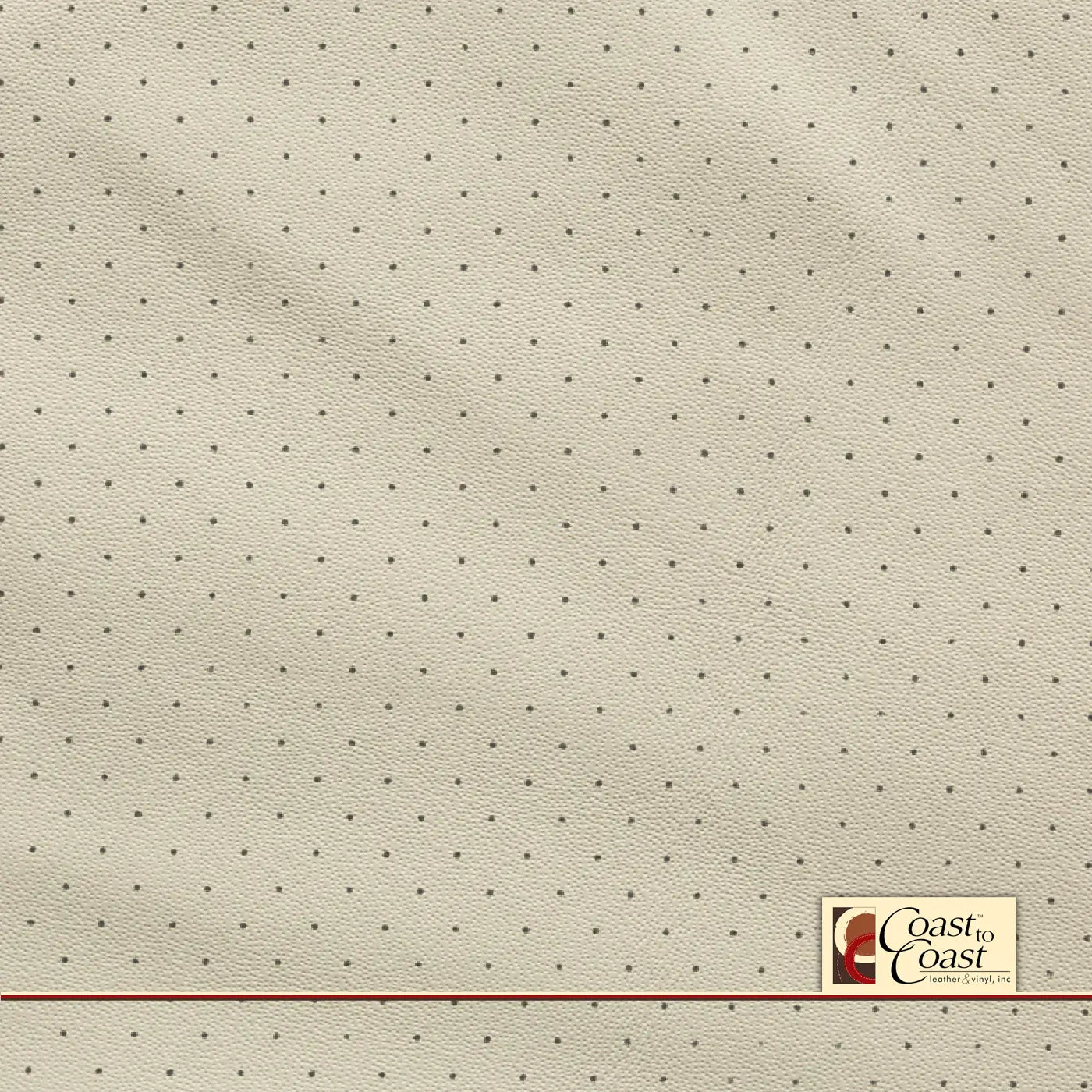 Acura Seacoast Standard Perf (3/8In) Vinyl