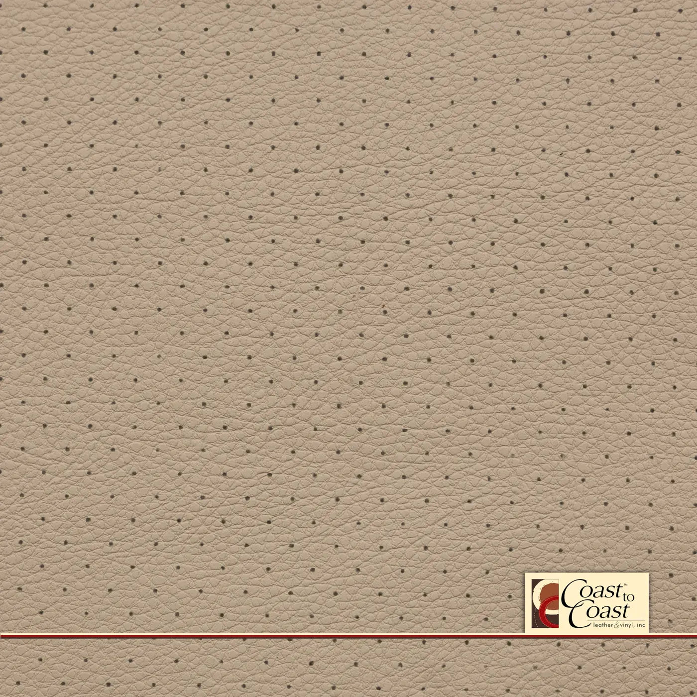 Vw Cornsilk Standard Perf (3/8In) Vinyl