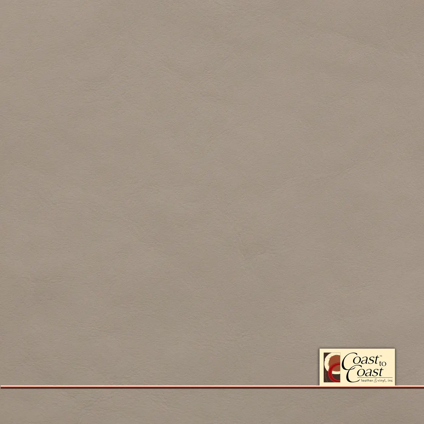 Porsche Chalk Plain Vinyl