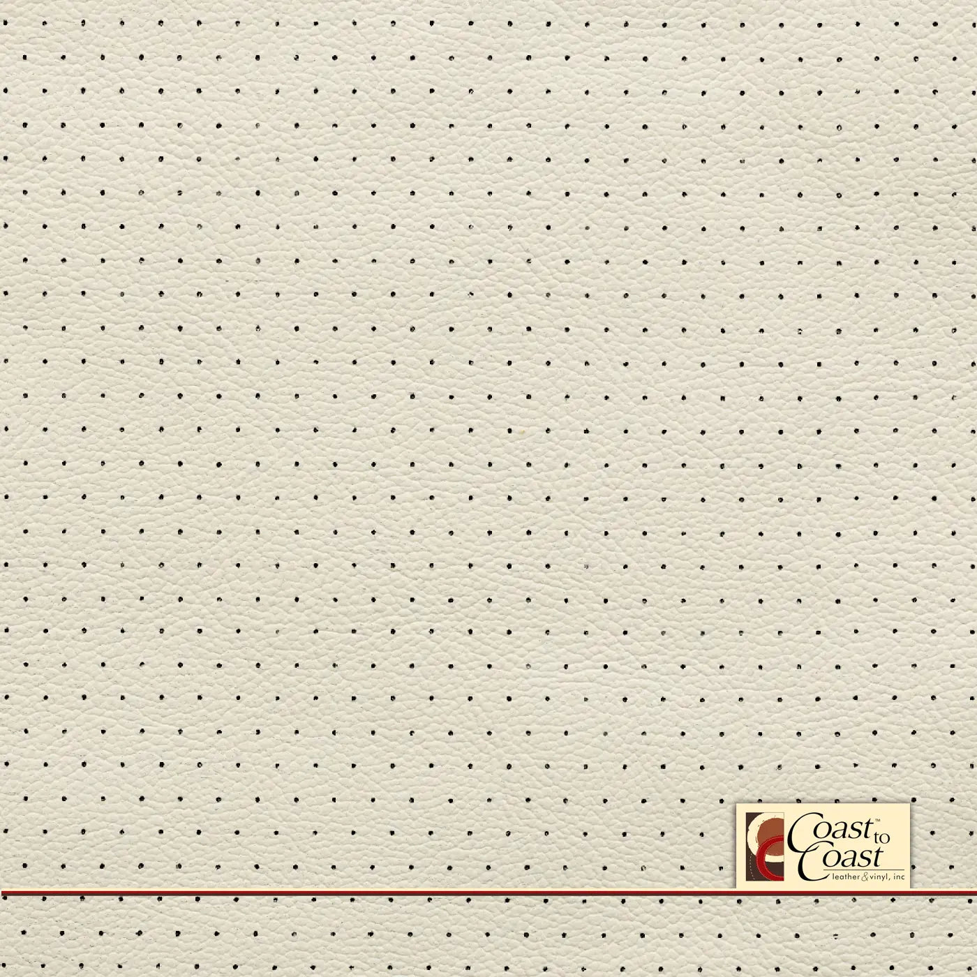 Nissan Gallery White Euro Perf (3/8In) Vinyl