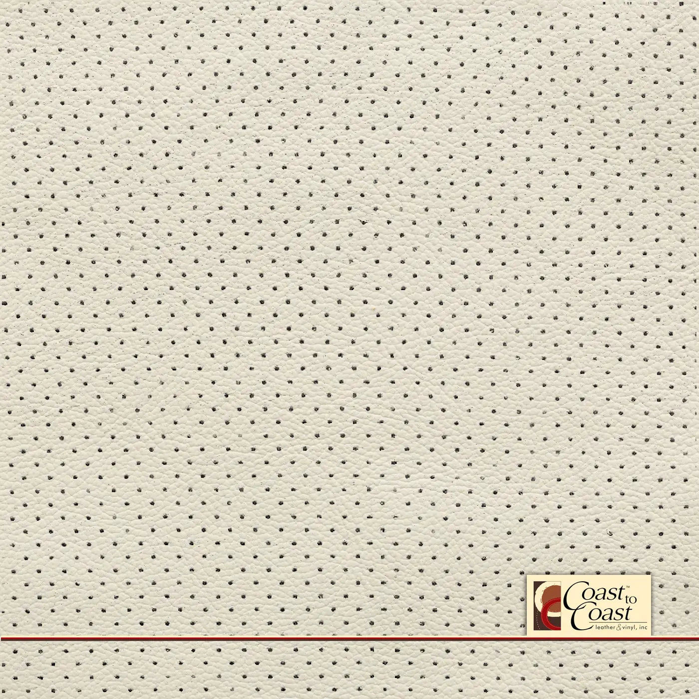 Nissan Gallery White Mini Perf (1/8In) Vinyl