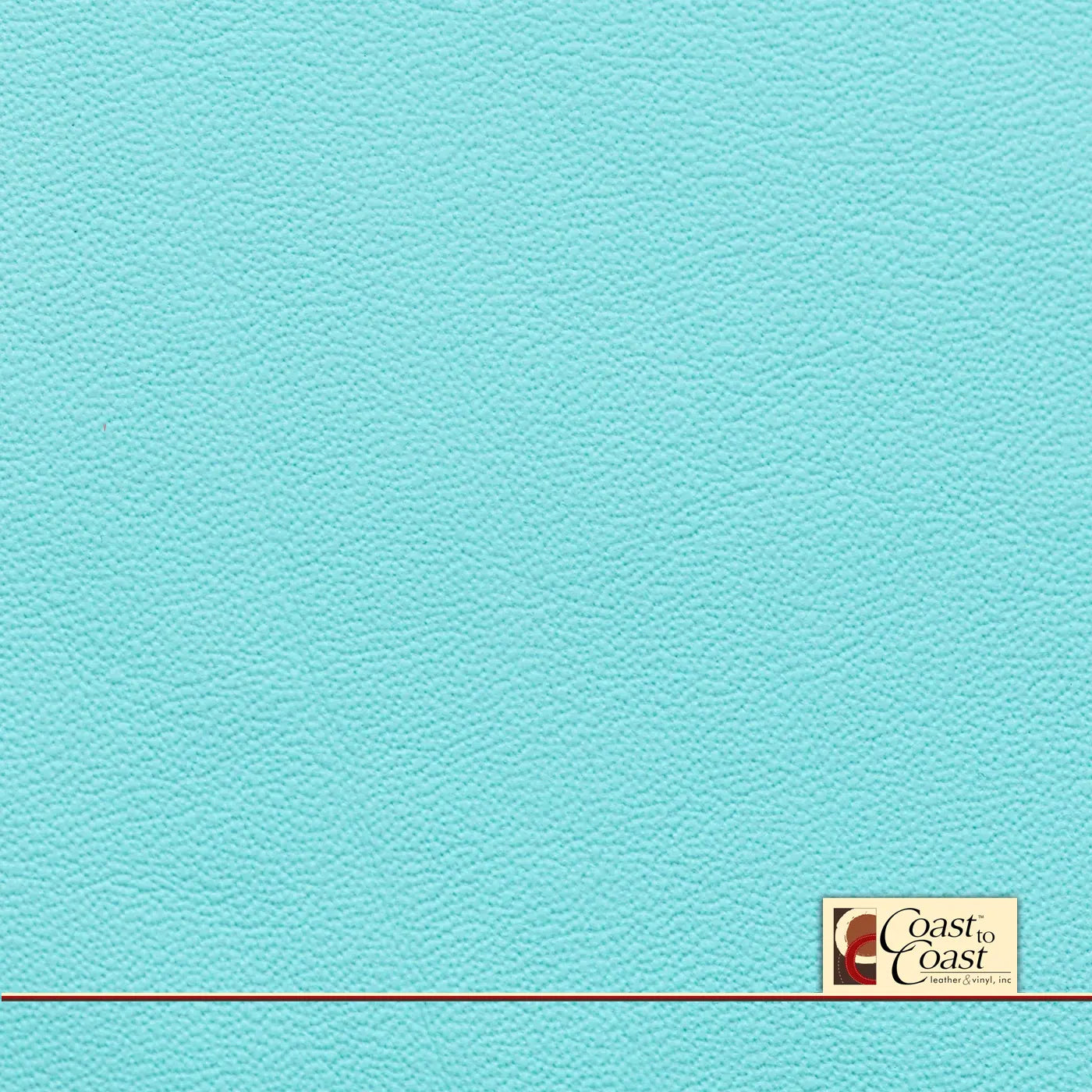 Teal Aqua Plain Vinyl