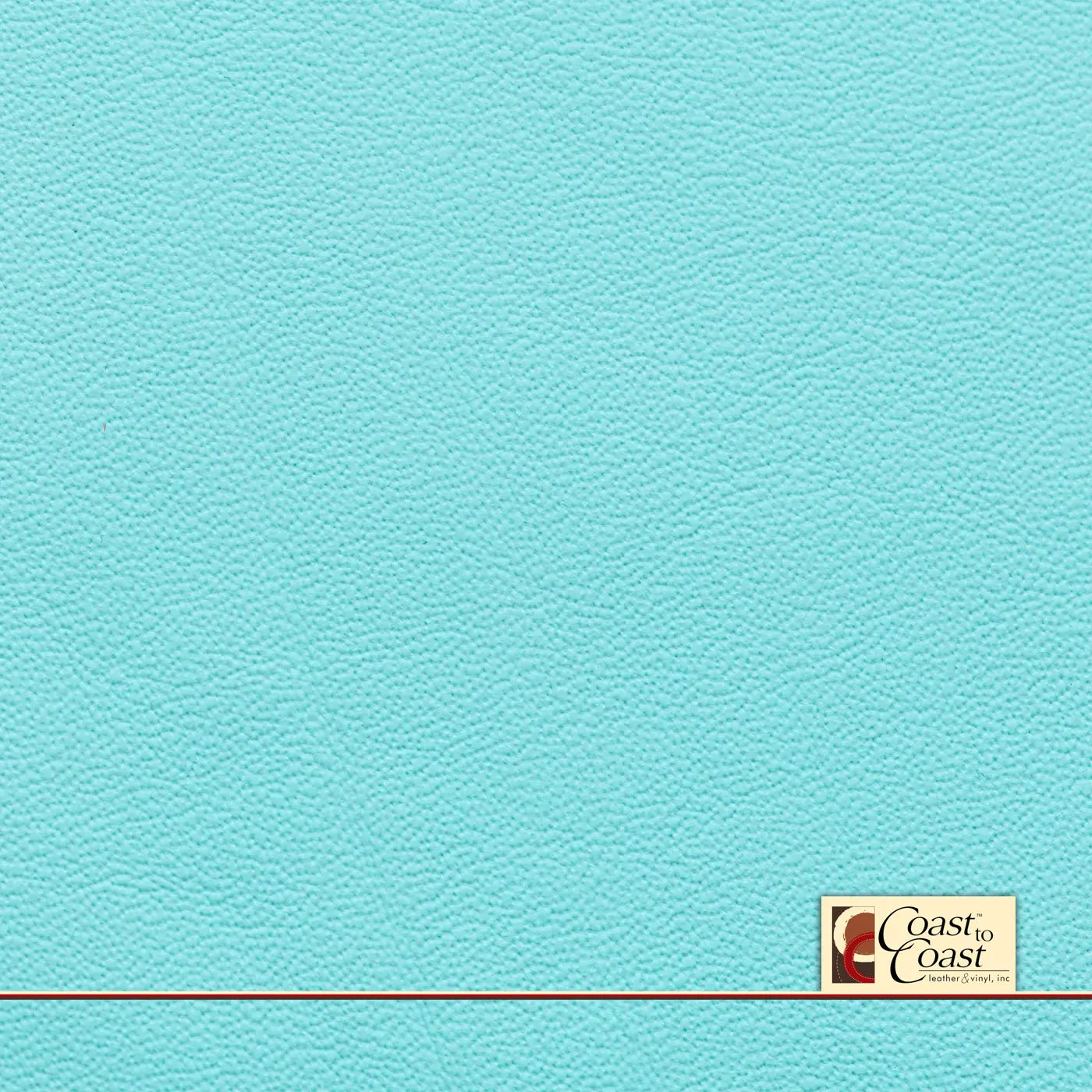 Teal Aqua Plain Vinyl