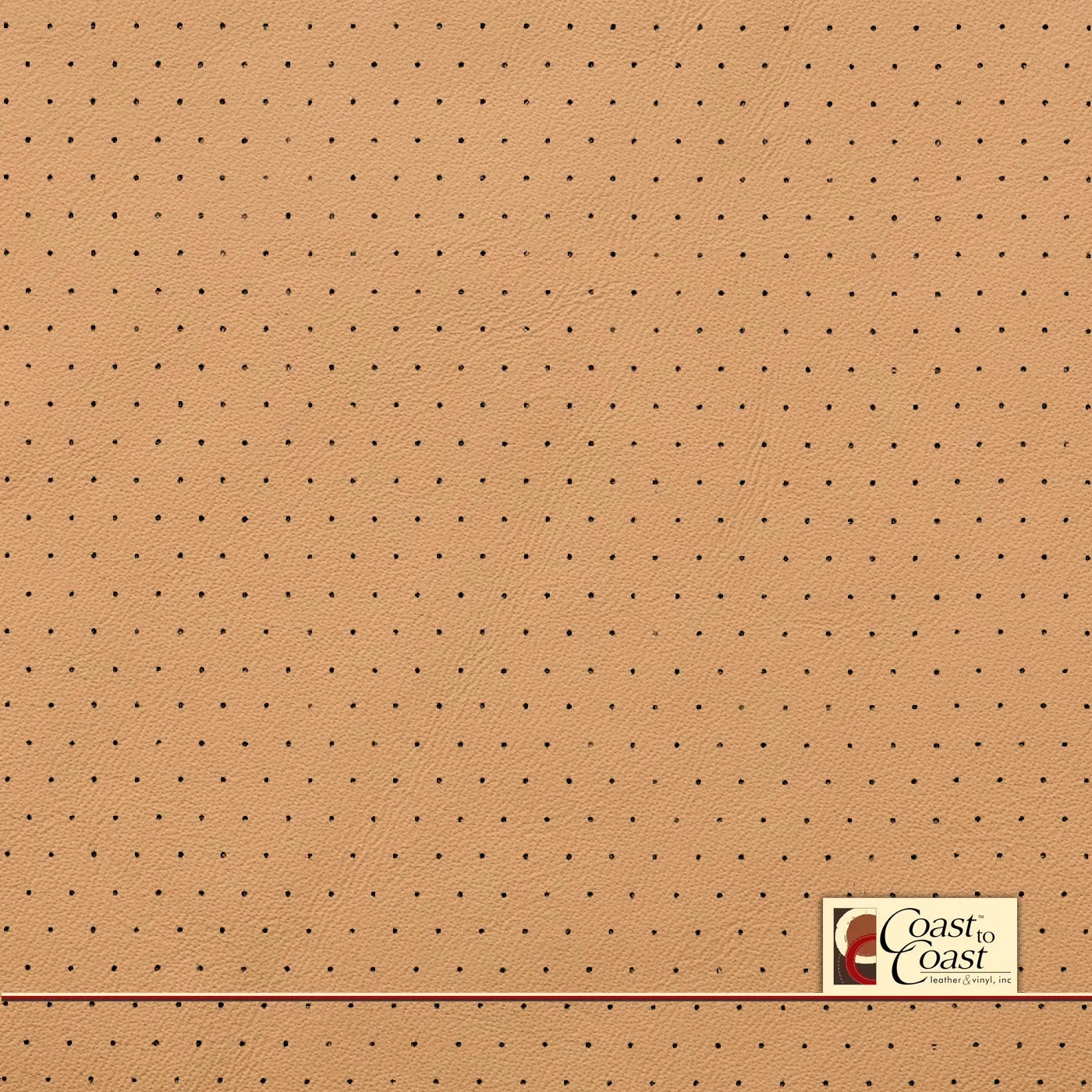 Hyindai / Kia Dune Beige Euro Perf (3/8In) Vinyl