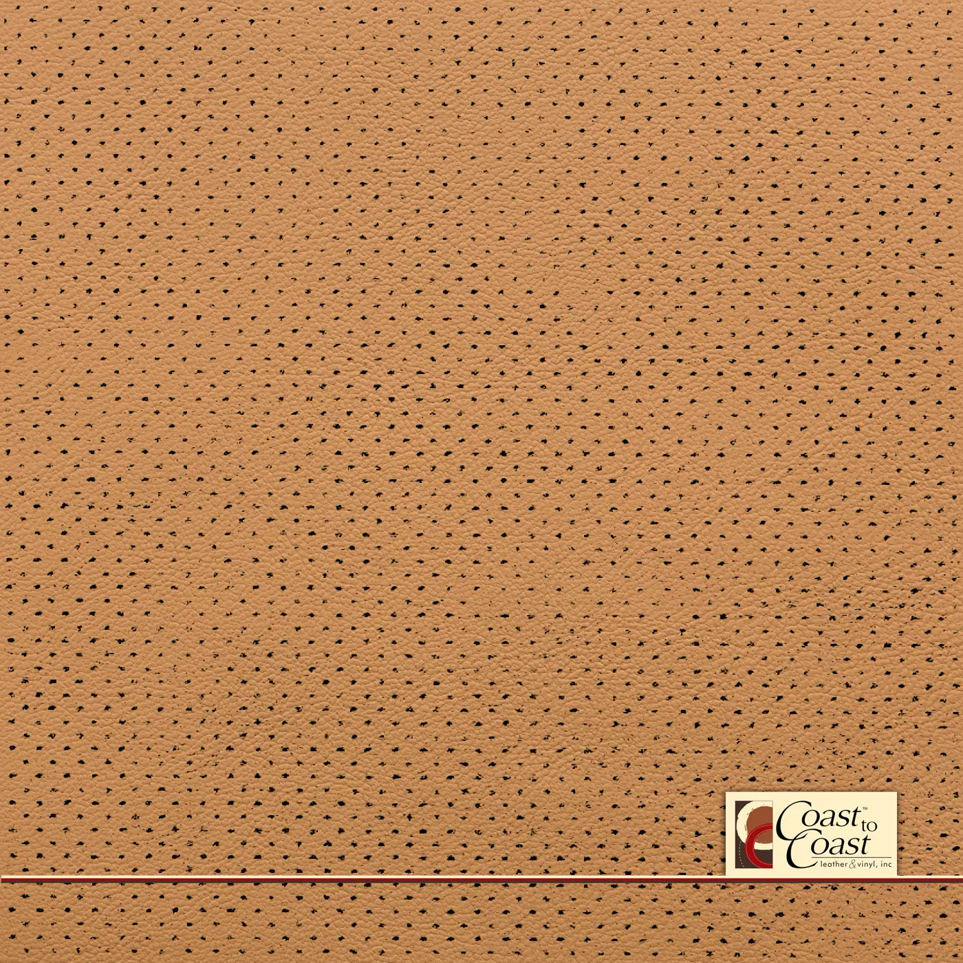 Toyota/Lexus Palomino Gm Mirco Perf (1/16In) Vinyl