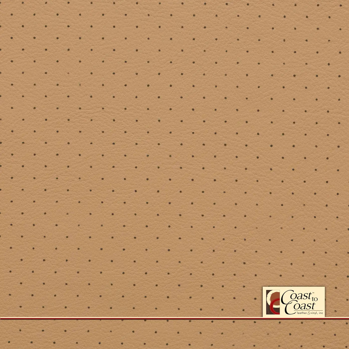 Ferrari Cream Standard Perf (3/8In) Vinyl