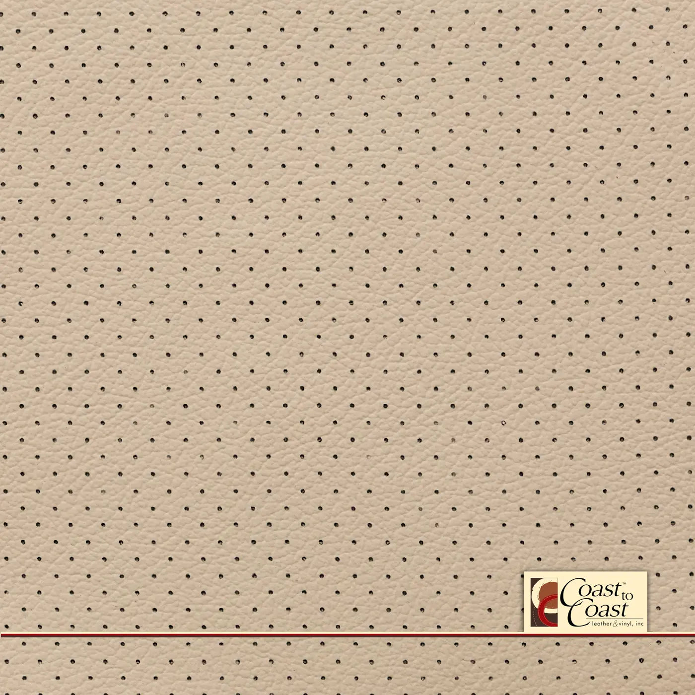 Subaru Parchment Small Hampton (1/4In) Vinyl