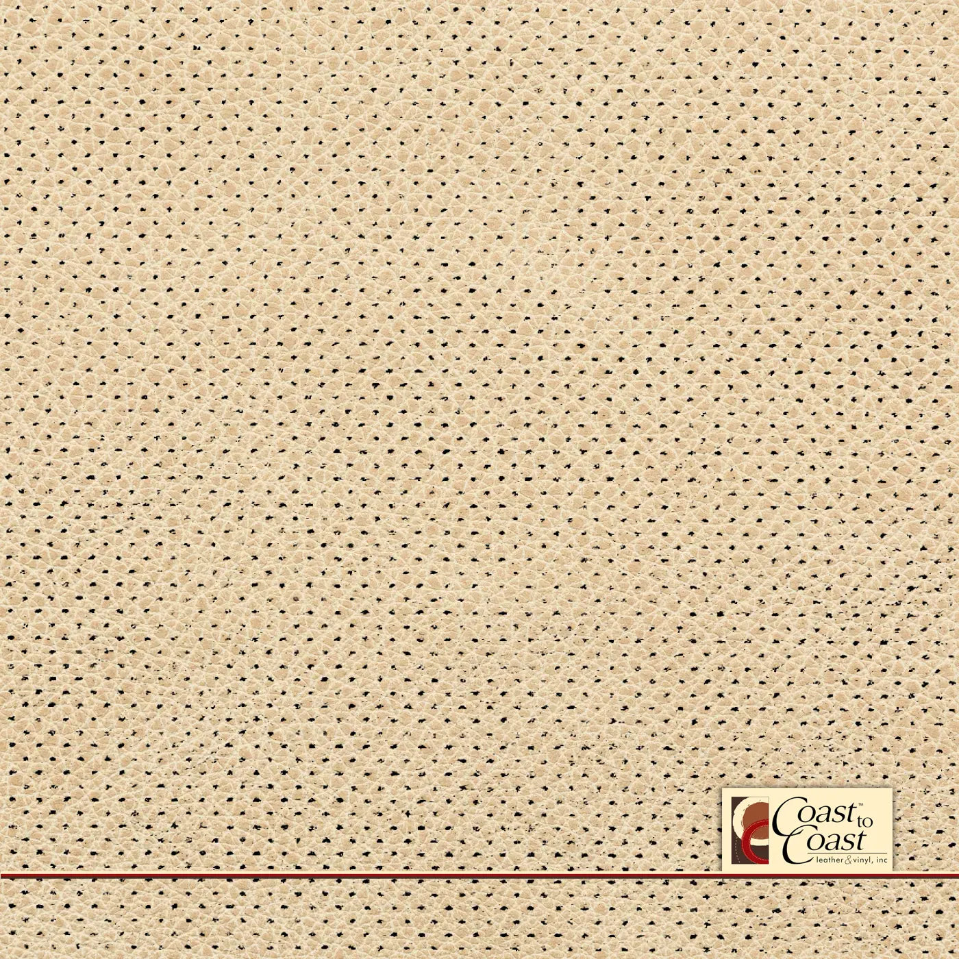 Vanilla Full Hide / Gm Mirco Perf (1/16In) Leather