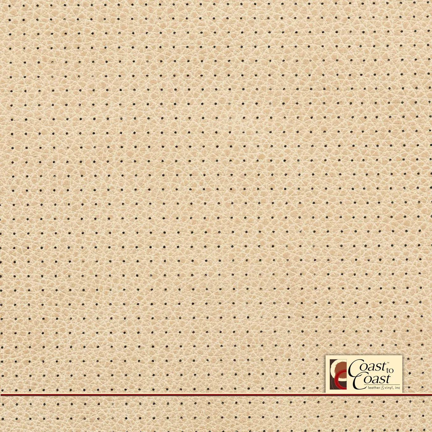 Vanilla Full Hide / Small Squared Perf (1/4In) Leather