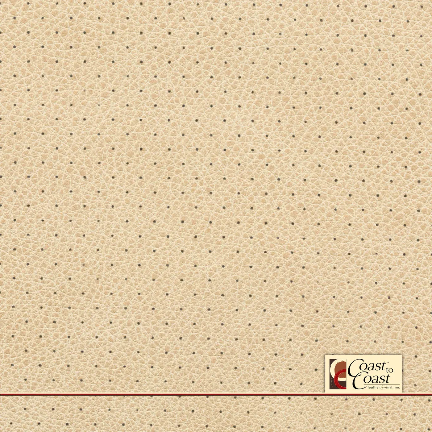 Vanilla Full Hide / Standard Perf (3/8In) Leather