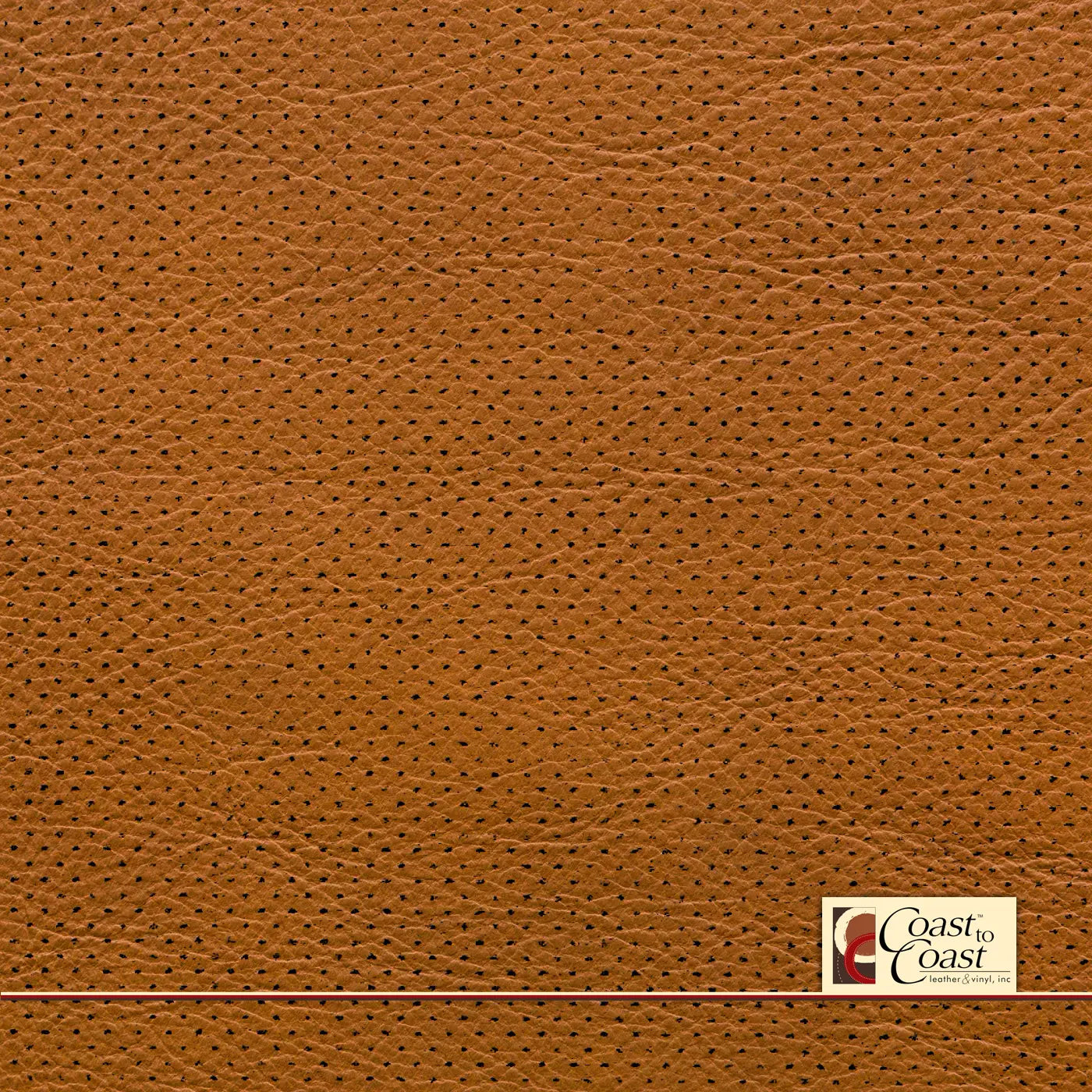 Sedona Cognac Full Hide / Gm Mirco Perf (1/16In) Leather