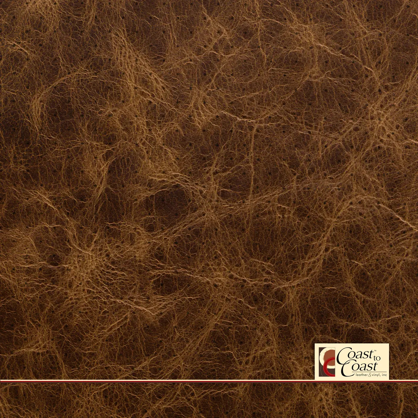 Pinecone Full Hide / Standard Perf (3/8In) Leather