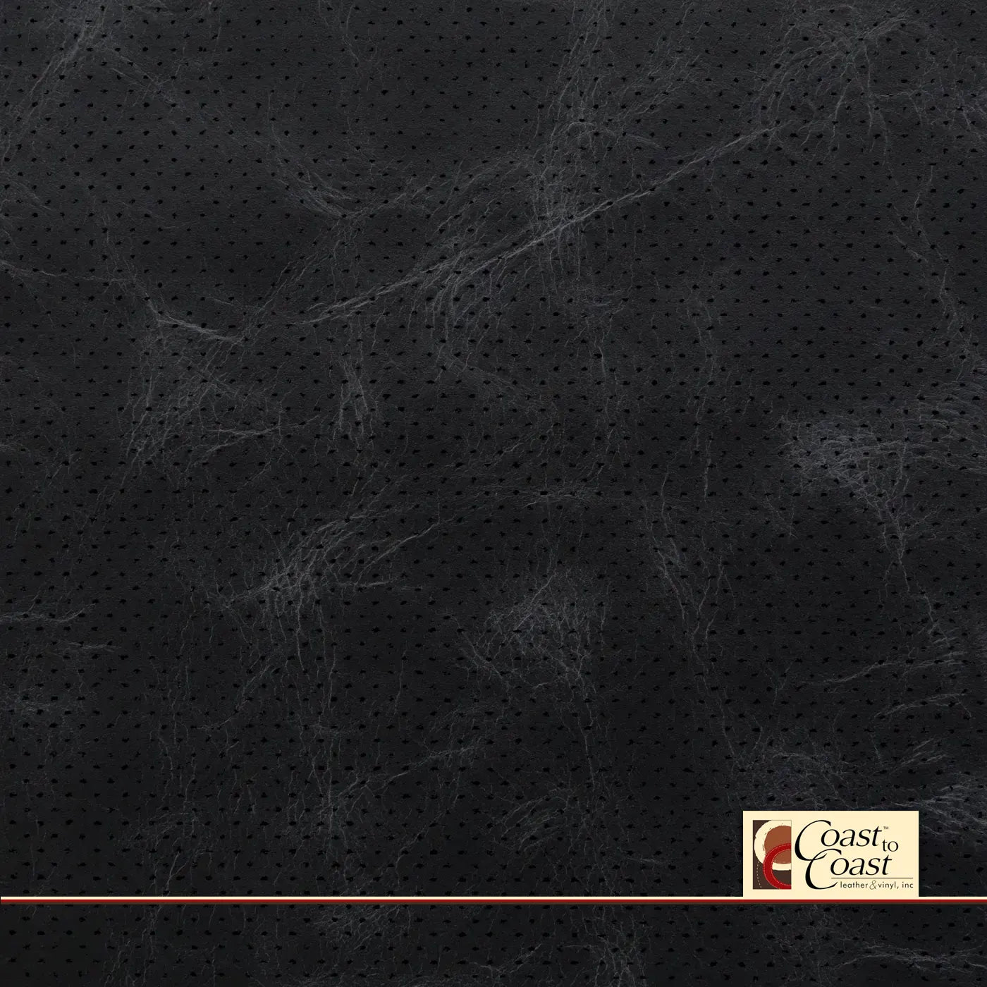 Midnight Full Hide / Gm Mirco Perf (1/16In) Leather