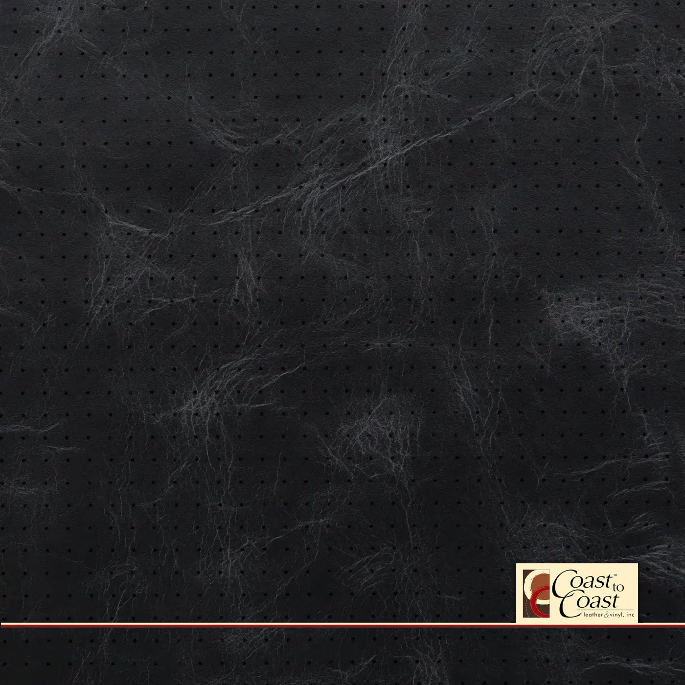 Midnight Full Hide / Small Squared Perf (1/4In) Leather