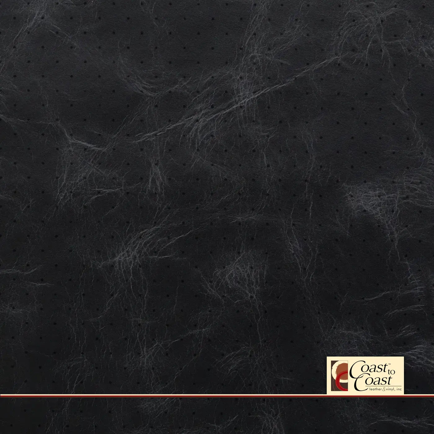 Midnight Full Hide / Standard Perf (3/8In) Leather