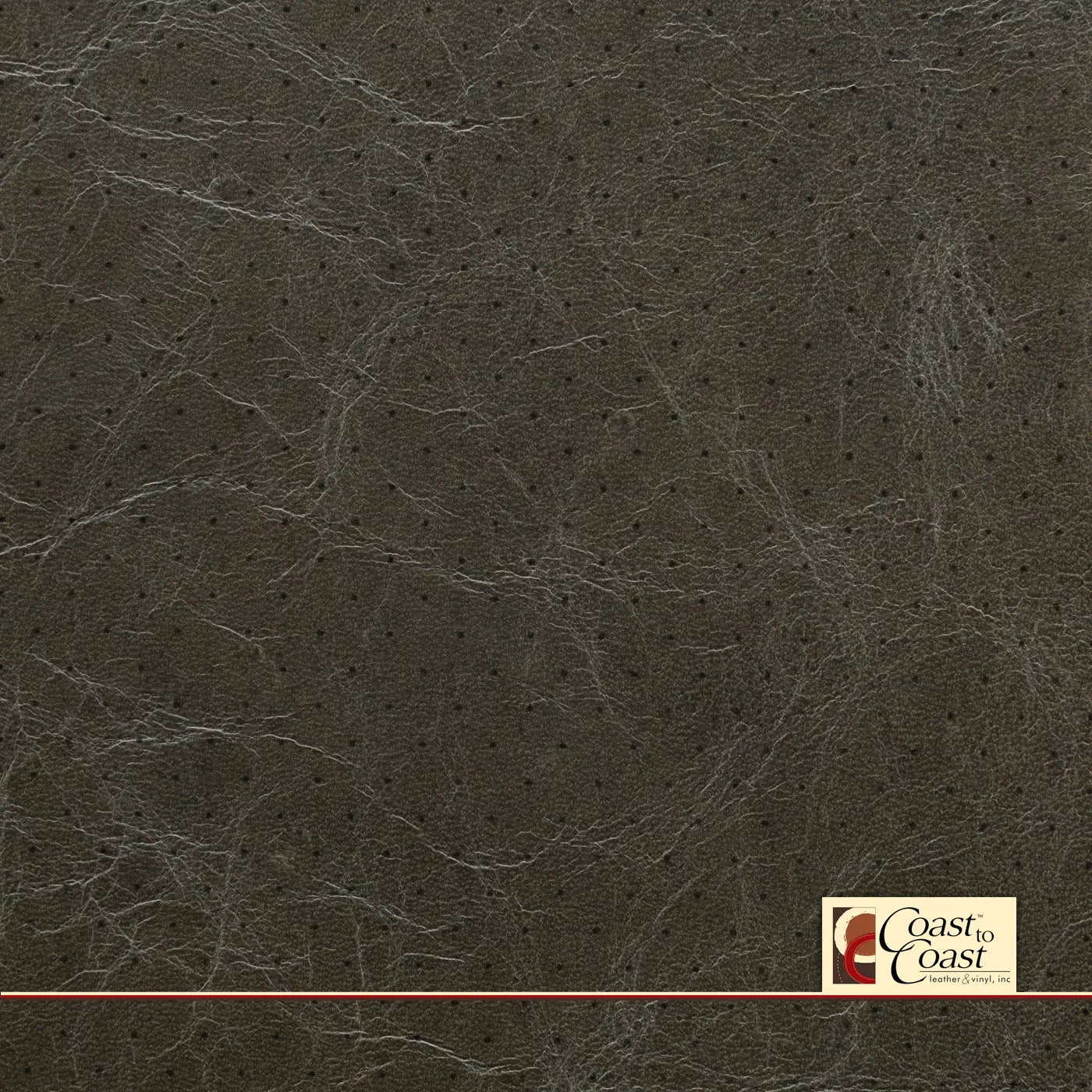 Min Grey Full Hide / Standard Perf (3/8In) Leather