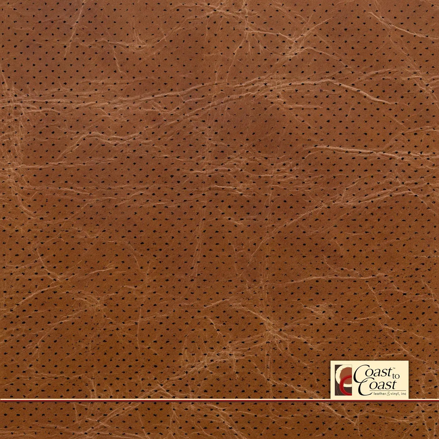 Buffalo Tan Full Hide / Gm Mirco Perf (1/16In) Leather