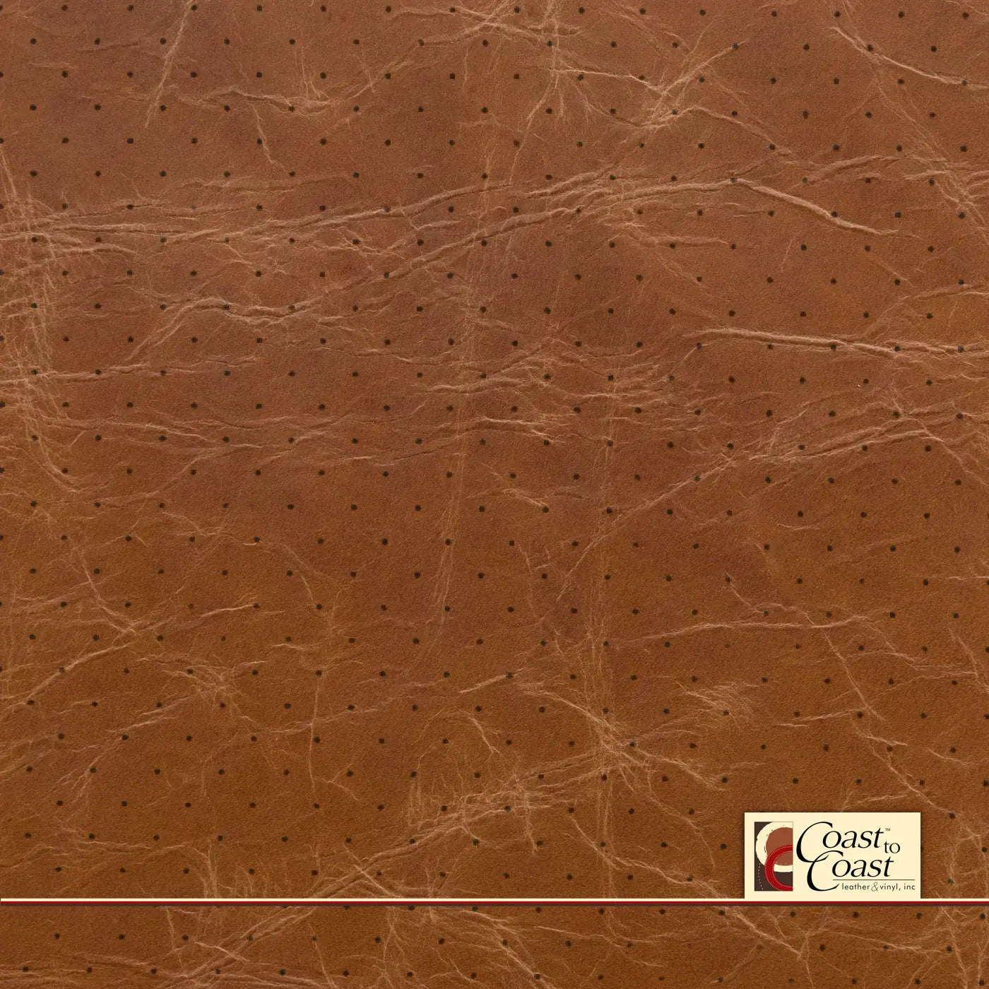 Buffalo Tan Full Hide / Standard Perf (3/8In) Leather