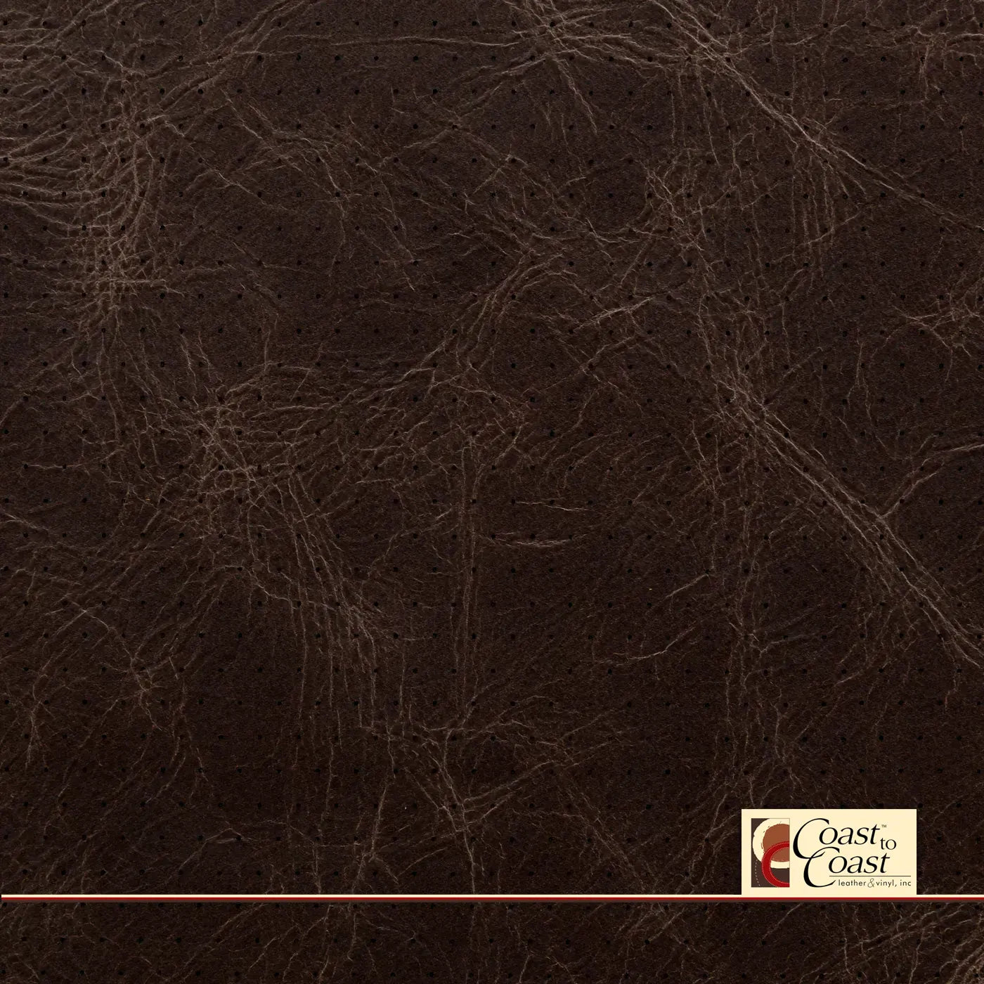 Cigar Brown Full Hide / Euro Perf (3/8In) Leather