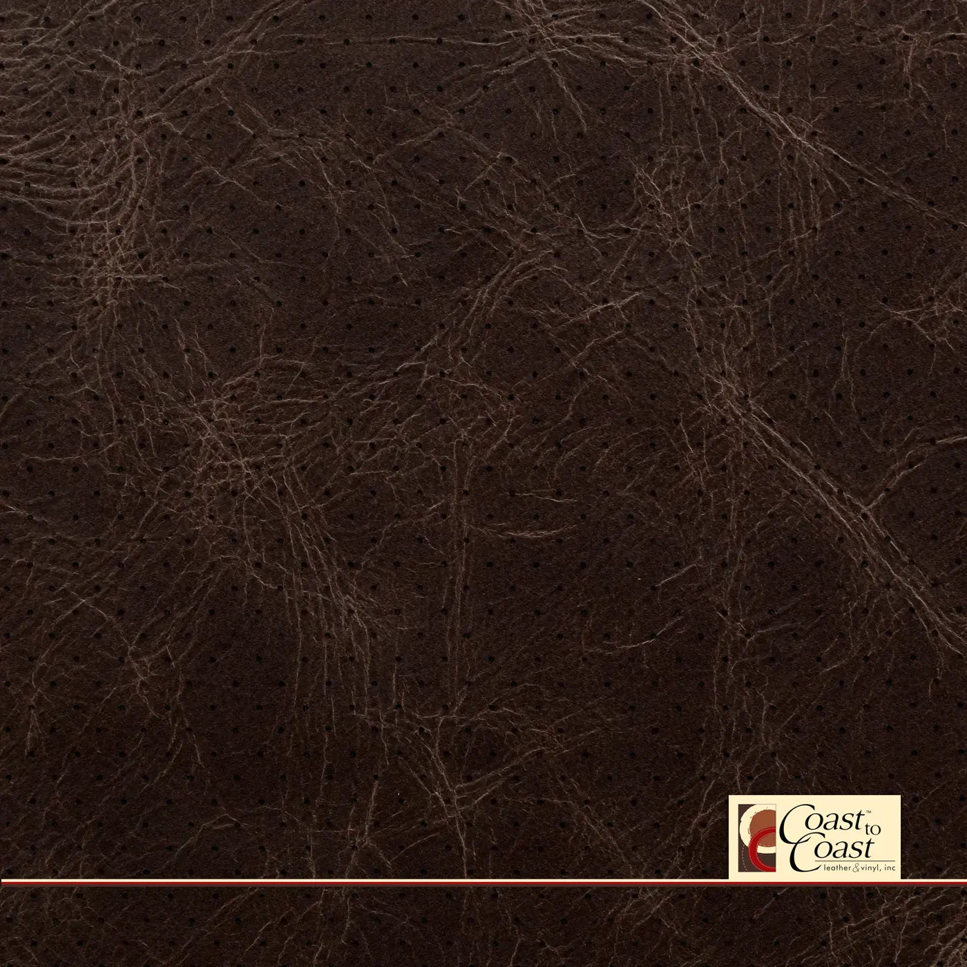 Cigar Brown Full Hide / Small Hampton (1/4In) Leather