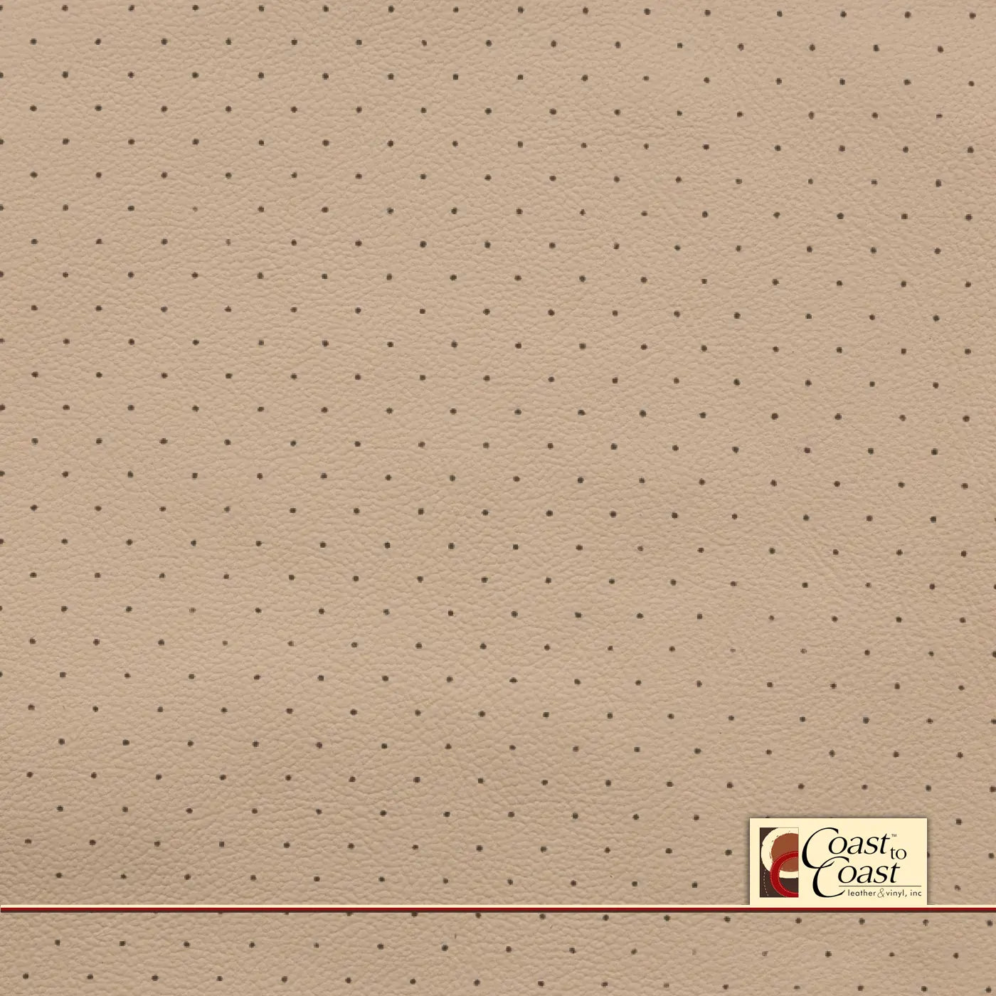 Gm V Lt Cashmere Full Hide / Standard Perf (3/8In) Leather