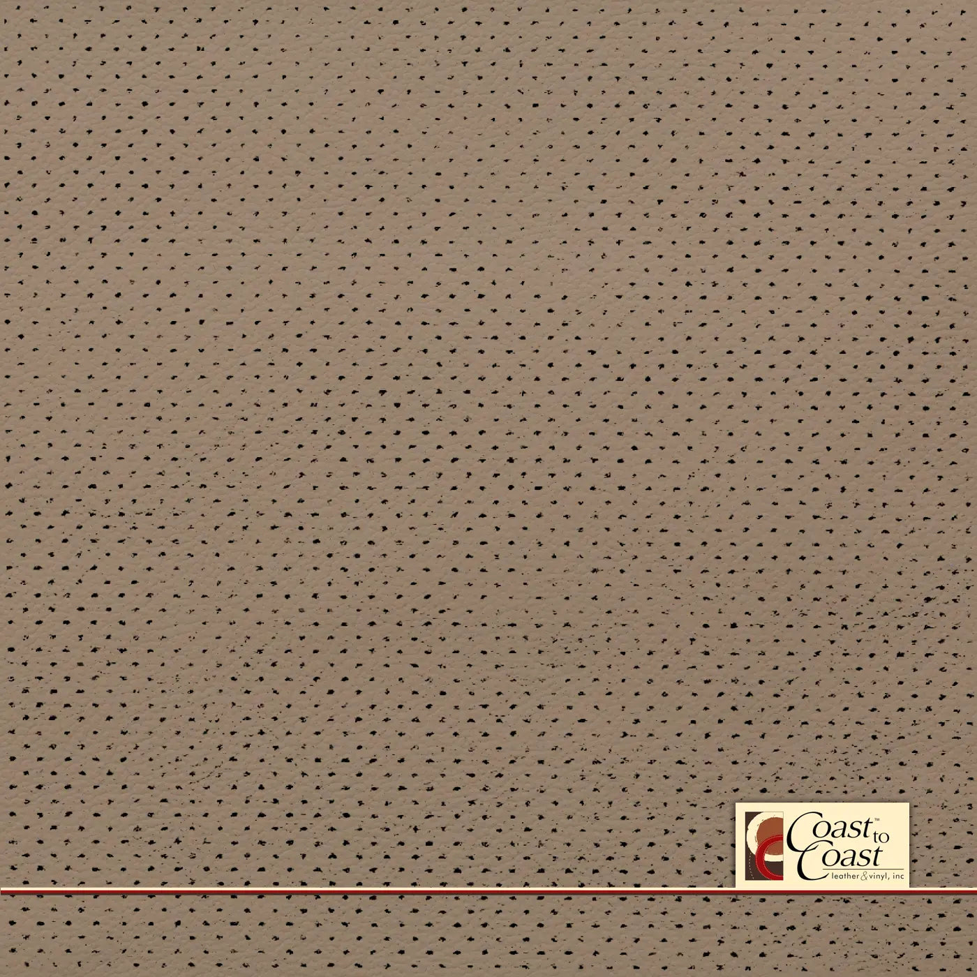 Ford Cappuccino Full Hide / Gm Mirco Perf (1/16In) Leather