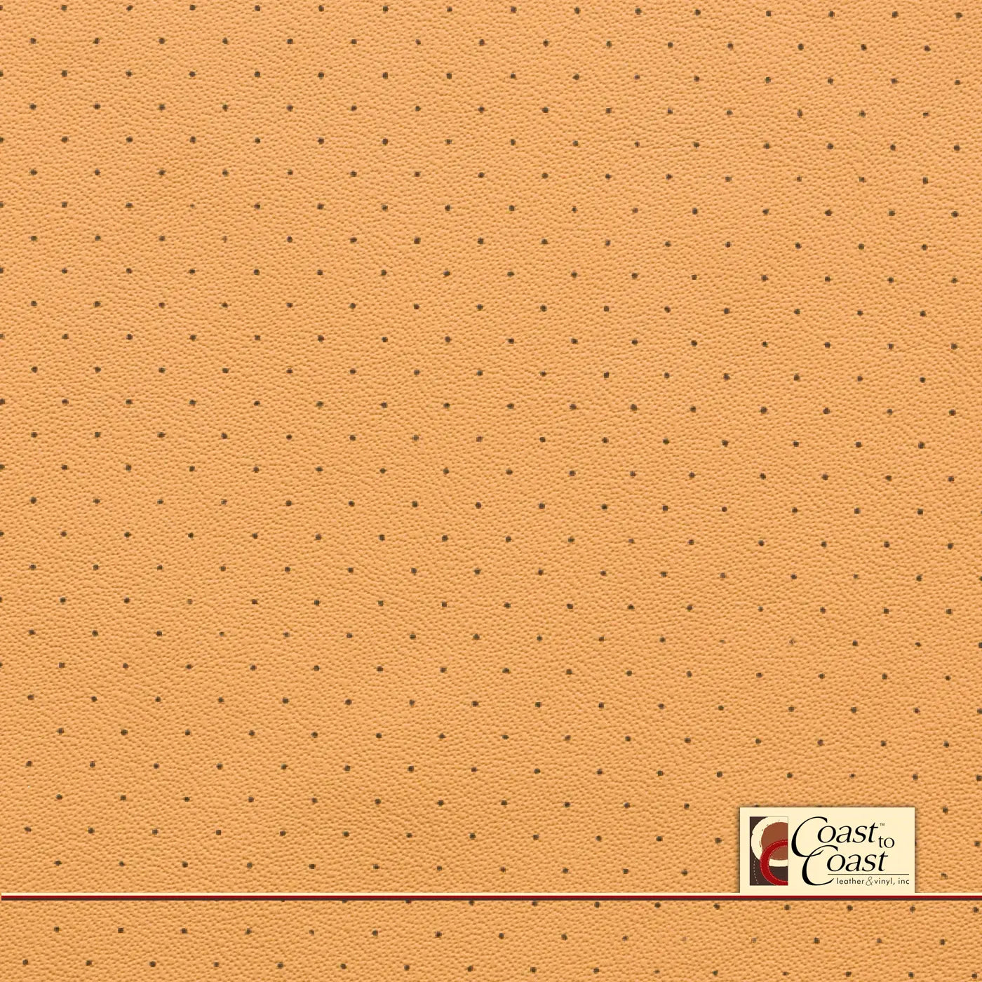 Gm Natural Full Hide / Standard Perf (3/8In) Leather