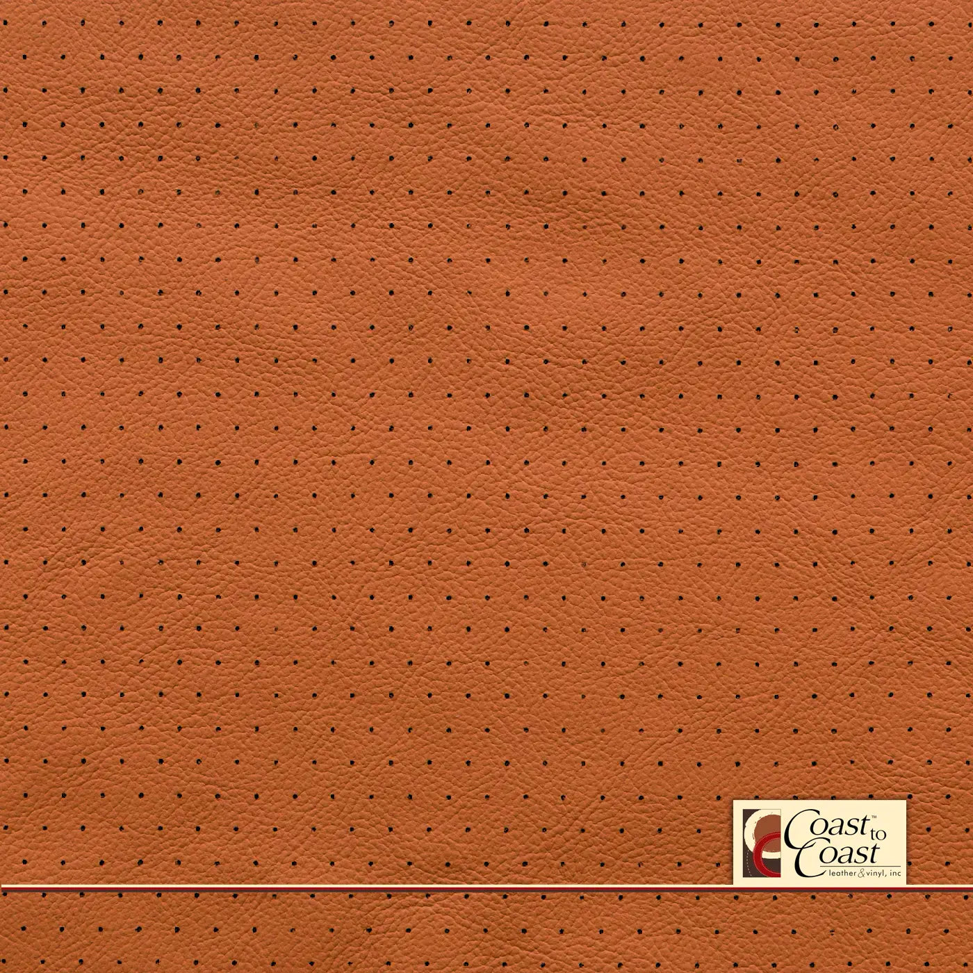 Gm Cinnamon Full Hide / Euro Perf (3/8In) Leather