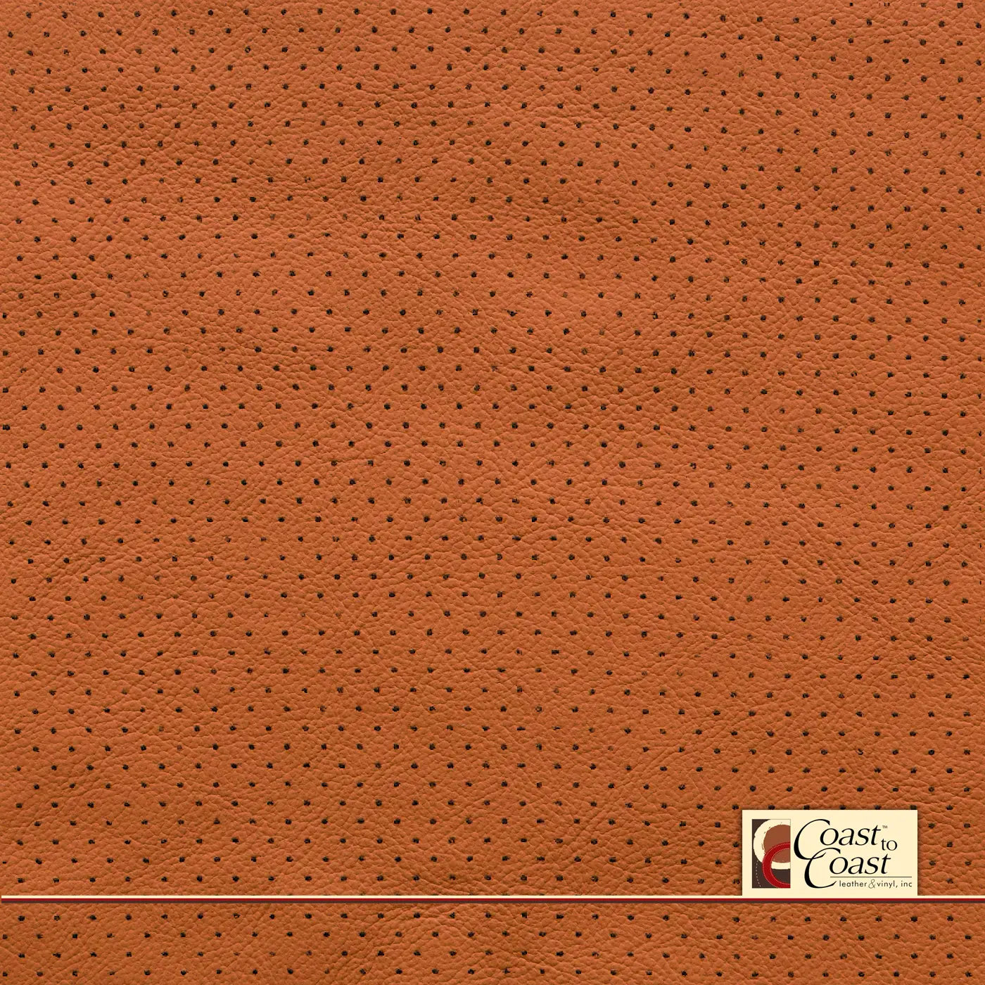 Gm Cinnamon Full Hide / Mini Perf (1/8In) Leather