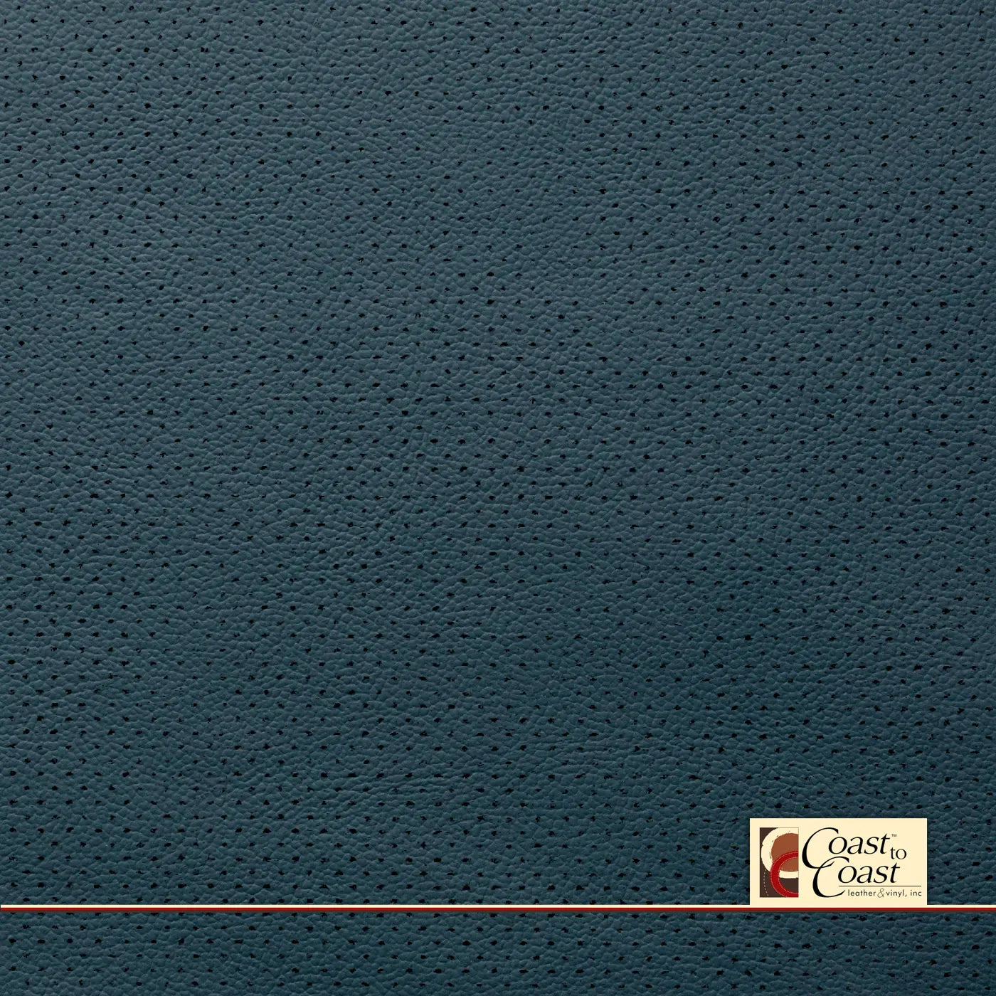 Ford Beyond Blue Full Hide / Gm Mirco Perf (1/16In) Leather