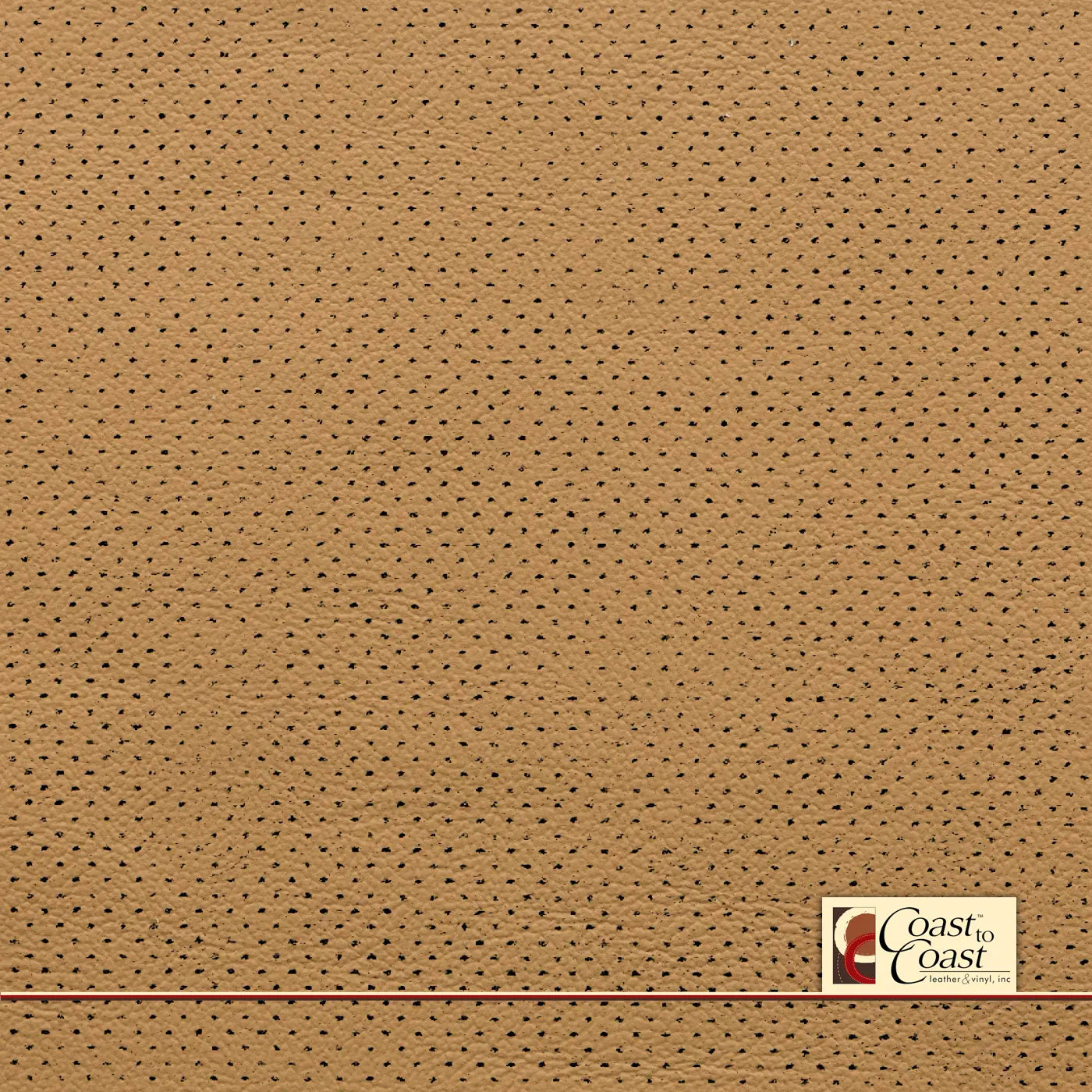 Ford Cashew Full Hide / Gm Mirco Perf (1/16In) Leather