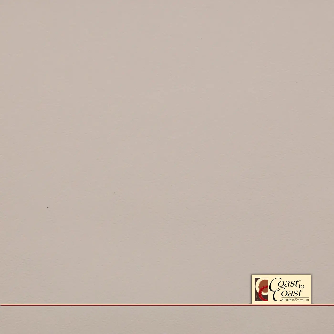 Chrysler Pearl White Plain Vinyl