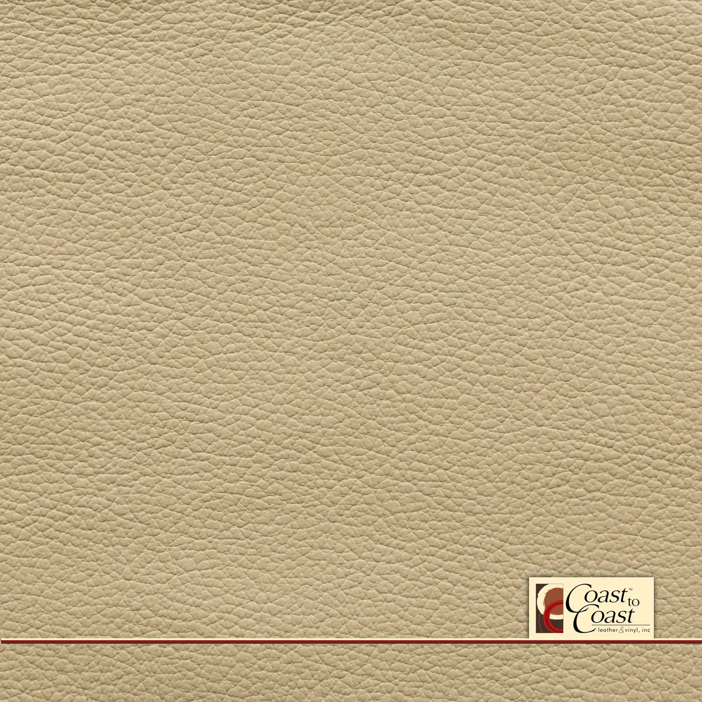 Ford Dune Plain Vinyl