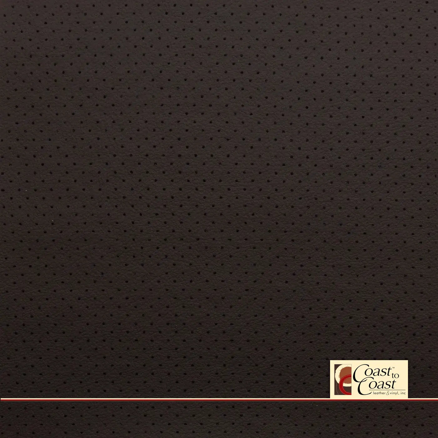 Ford Expresso Mini Perf (1/8In) Vinyl