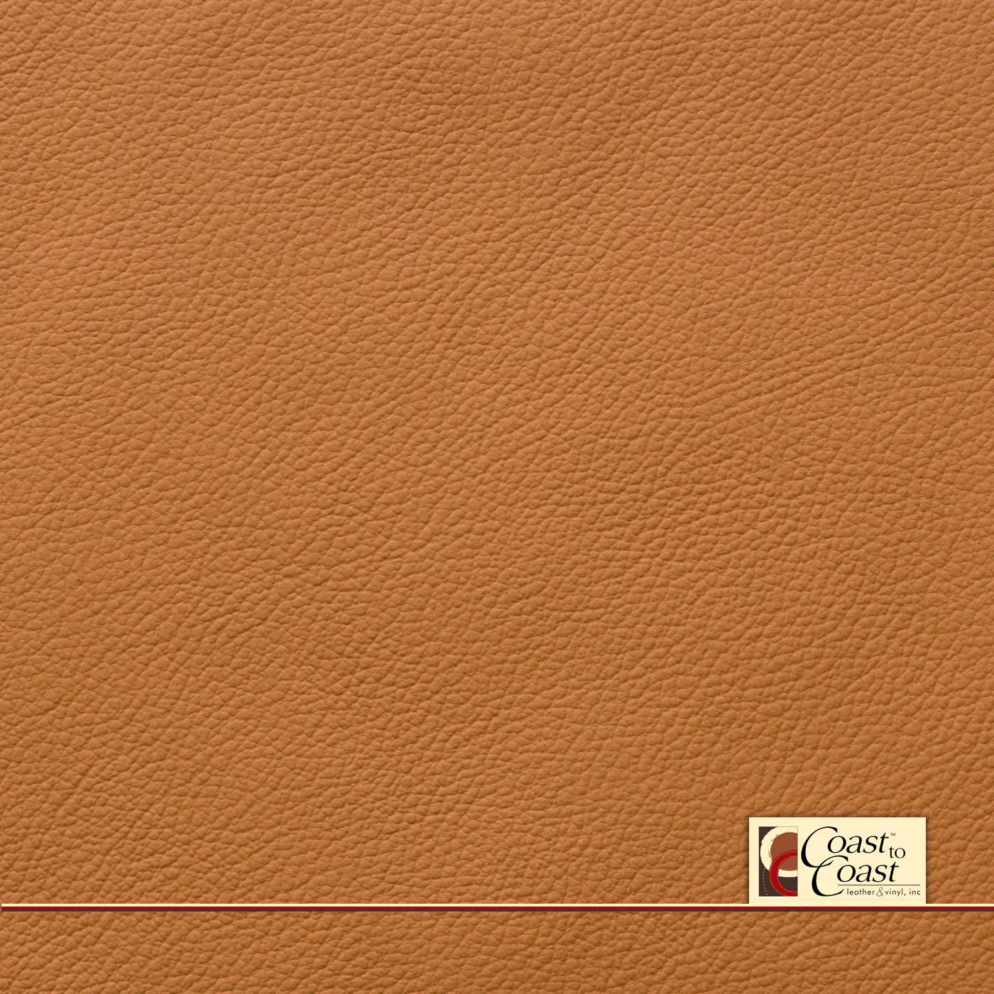 Ford Luggage Plain Vinyl